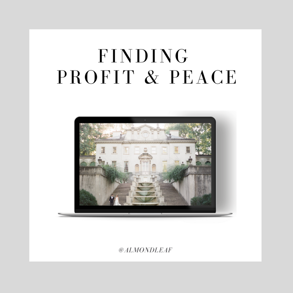Finding Profit & Peace, Creative Collab bundle for photographers, photographer education, wedding photographer education, profit, creating peace in your business, 